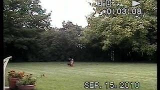Savage flux jumping.avi