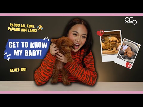 GET TO KNOW MY PET, EEVEE! | FURRY FRIEND TAG // AC Bonifacio