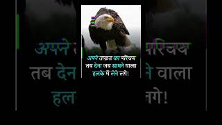 Eagle motivational quotes in Hindi । #motivation #inspiration #eagle #eagles Eagle motivational quotes in Hindi । #motivation #inspiration #eagle #eagles