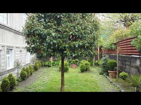 მოწყობილი ეზო