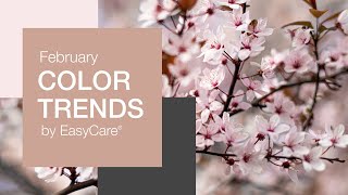 EasyCare Paint February 2020 Color Trends screenshot 1
