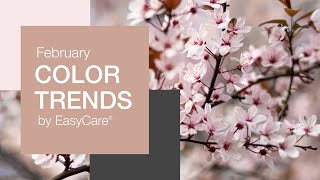 EasyCare Paint February 2020 Color Trends screenshot 4