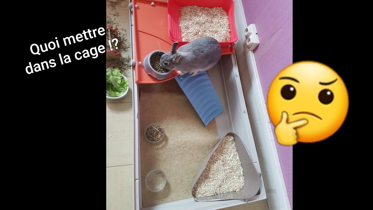 Aménagement de la cage d'un lapin