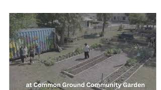 Common Ground Mural Reveal Event