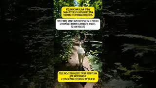 #эзотерика