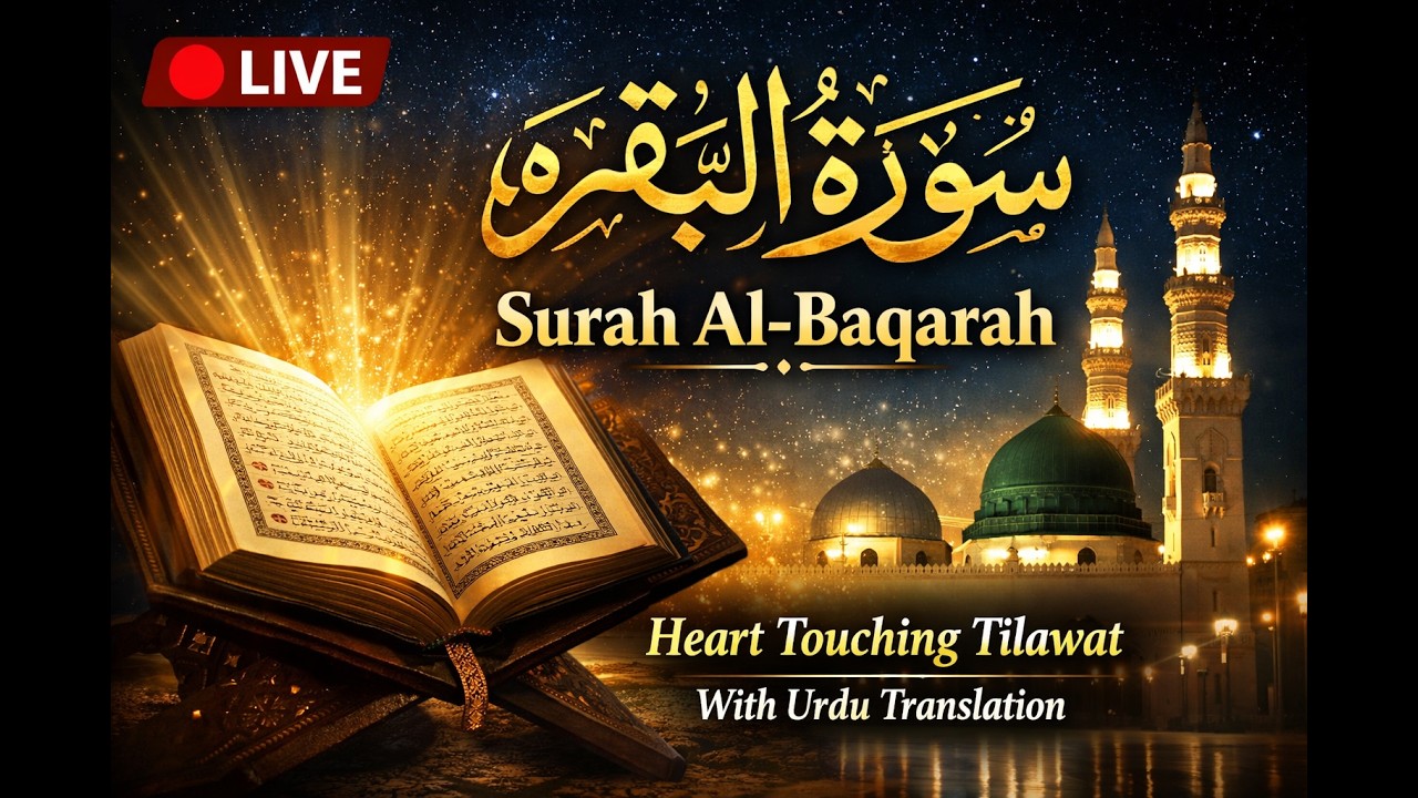 🔴 LIVE | Surah Al-Baqarah | Heart Touching Tilawat | With Urdu Translation