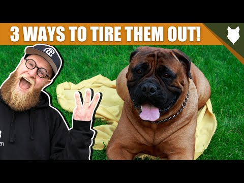 3 Tips To