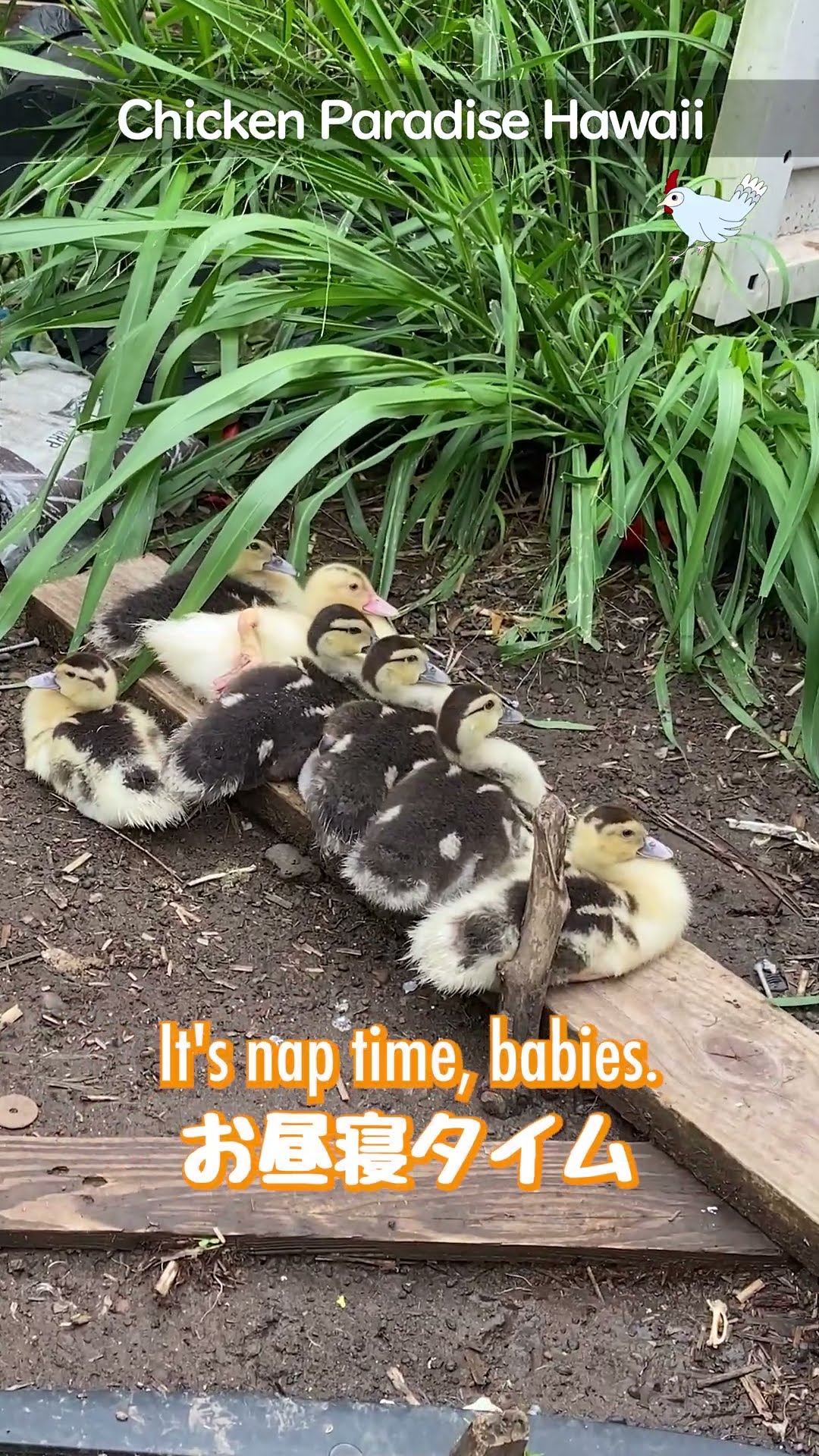 Napping beside Mom
