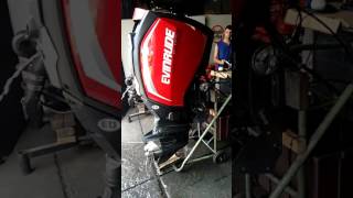 Evinrude ETEC G2 250 Hp