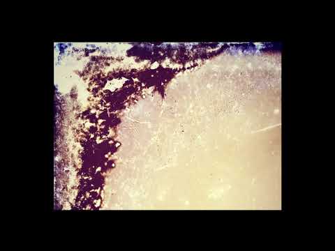 Yage — Yage | AP.BAC [fsoldigital.com 2020]