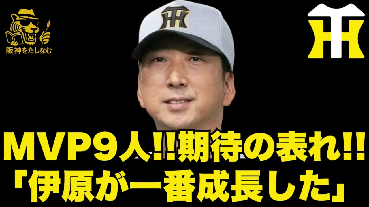 【キャンプ考察2/25🔥】キャンプMVPは異例の9人指名‼️ディベイニーはショートで使っていく‼️#阪神タイガース＃阪神タイガースをたしなむ#阪神タイガース 阪神　キャンプMVP