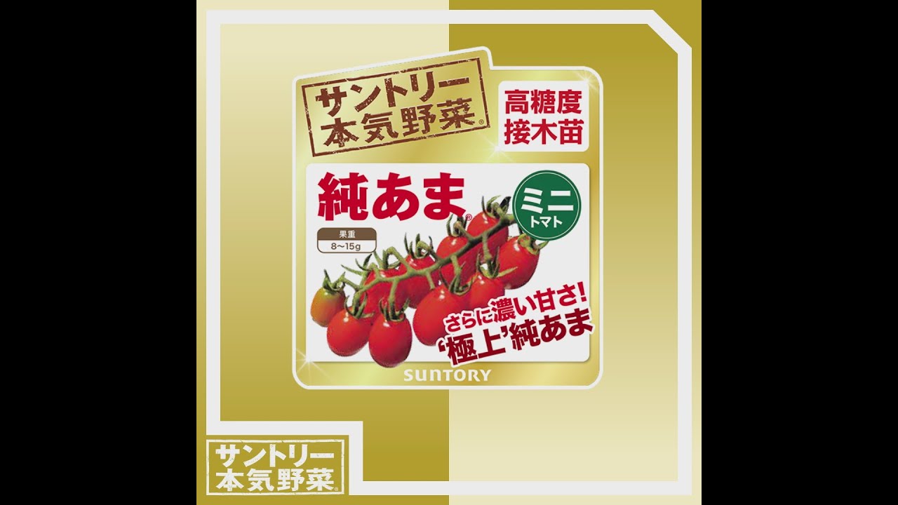サントリー本気野菜 トマト 純あま 高糖度接木 商品紹介 ショートver 11秒 Youtube