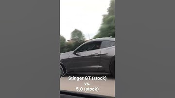 Stock Kia stinger GT VS. stock mustang 5.0  #atlanta #racing #fyp