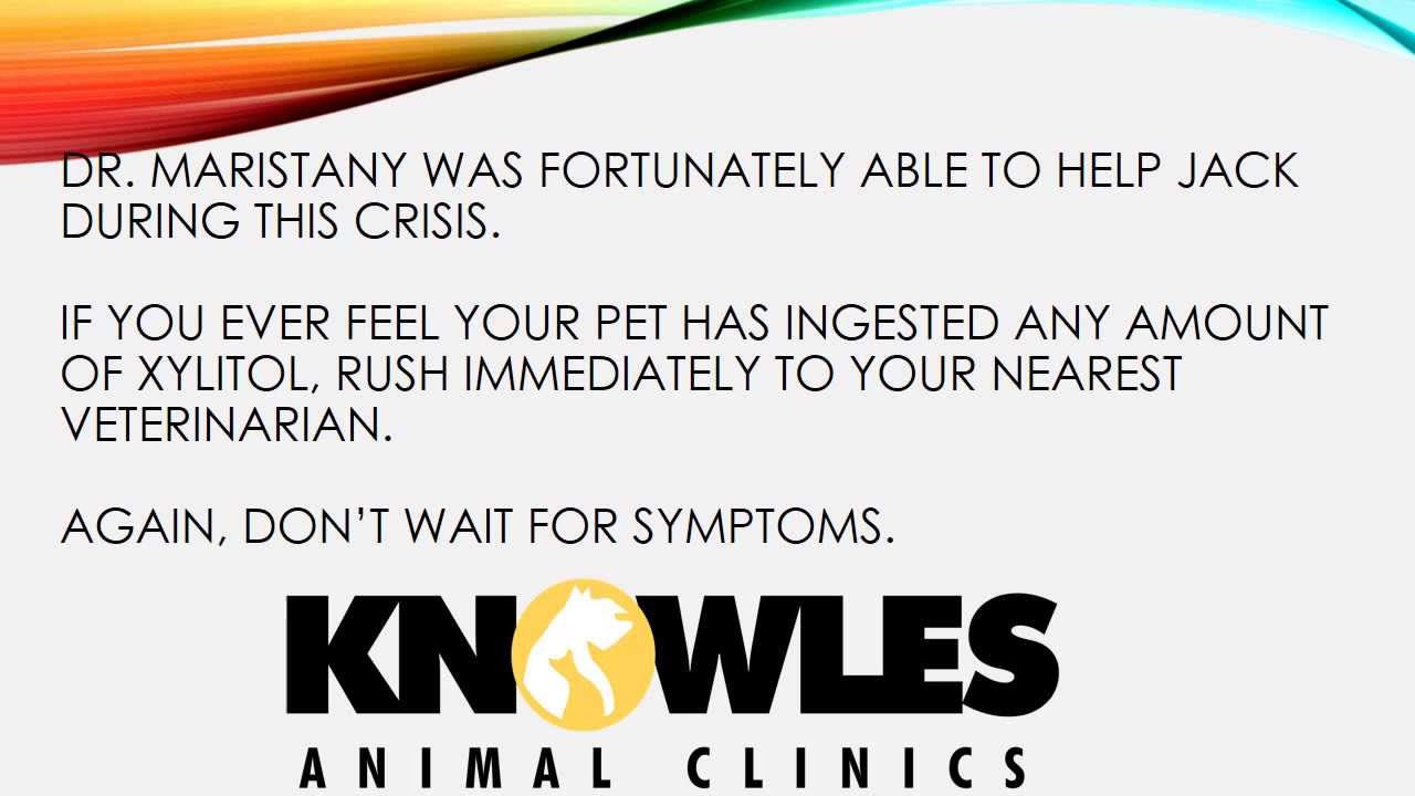 Xylitol toxicity YouTube