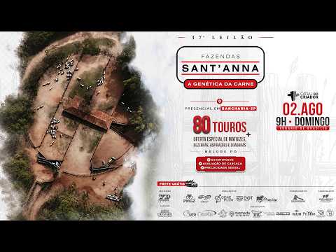 LOTE 33   CJCJ 16684