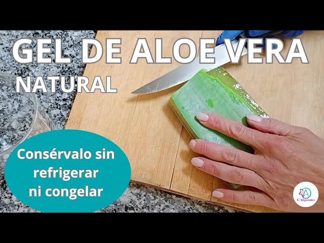Cmo CONSERVAR EL GEL NATURAL DE ALOE VERA o SABILA para la piel /COSMTICA  CASERA/ L' Alqumica  - YouTube