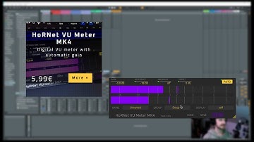Gain Staging with HoRNet VU Meter