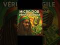 🎙️ Micro d’Or, Vérité d’Argile ( #reggae  Dub Français) #short #musique