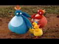 Big Twirlywoos Compilation! | Twirlywoos | Live Action Videos for Kids | WildBrain Zigzag