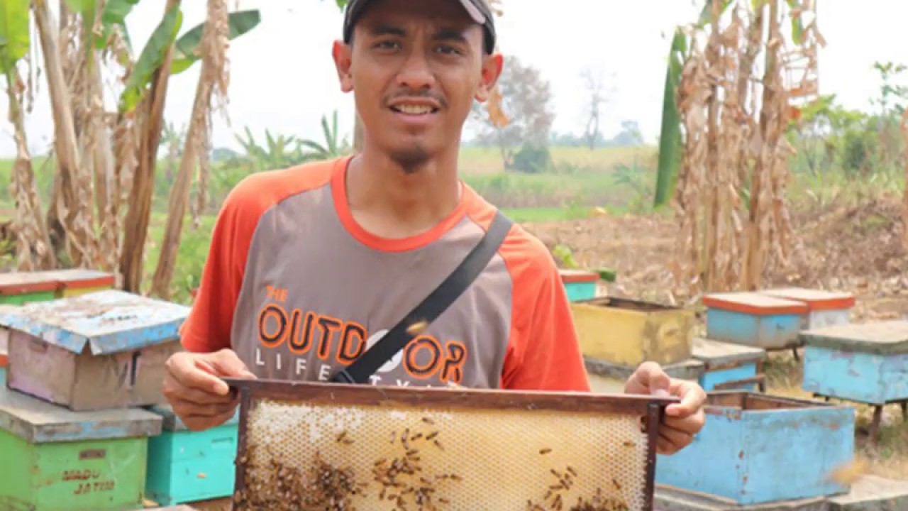 WA 0856 4840 4735 Pusat Distributor Jual Madu Curah Kiloan WA 0856 4840 4735 Pusat Distributor Jual Madu Curah Kiloan