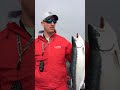 Unbelievable steelhead action!