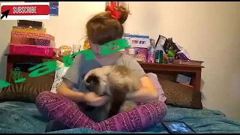 First video  ||Alana Wheeler