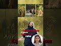 Inside Vantara Wildlife Rescue Mission #Vantara #AnantDadaEra #AnantAmbani
