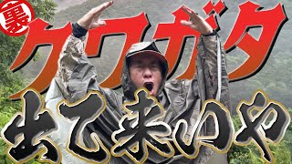 【ワクワクタイム】オオクワガタに恋焦がれるおぢさん三人夏物語