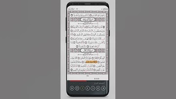 102 - | سورة التكاثر |