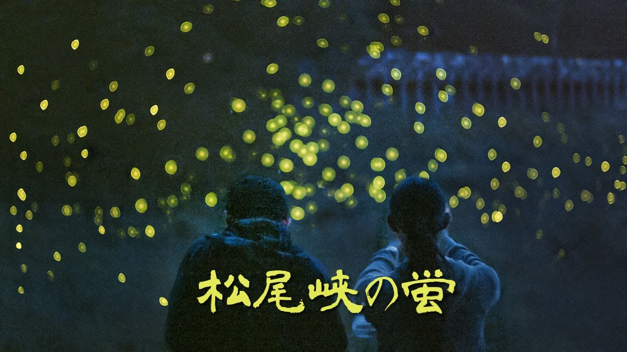 蛍の舞 Dance Of The Fireflies 14 伊豆キャンプフィールドと清和県民の森のホタル Youtube