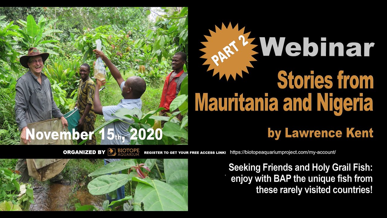 ⁣Stories from Mauritania and Nigeria. Webinar by Lawrence Kent. Part 2.