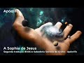Sabedoria Secreta de Cristo