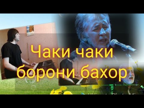 Чак чаки борони бахор ширина. Сакит самедов чаки чаки. Таджикская песня чаки чаки борони бахор. Чаки-чаки борони бахор. Чаки-чаки борони.
