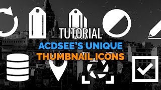 How to Identify Thumbnail Icons in ACDSee - Tutorial