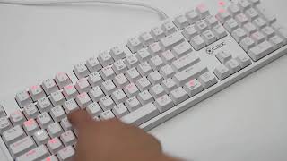 COX CK800 카일 광축 완전방수 LED 모드 Test
