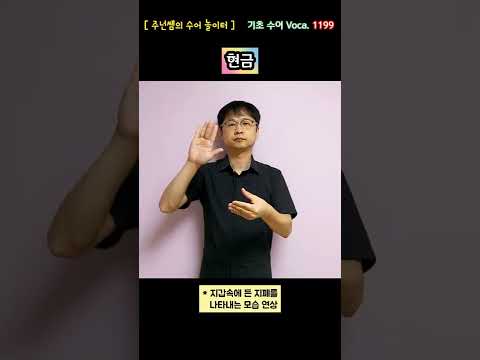 [ 기초 수어 Voca ] 1199. 현금 - 수화배우기 [주넌쌤의 수어놀이터]