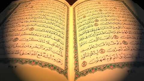 مشاري بن راشد العفاسي   سورة الماعون