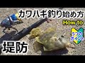 【入門マニュアル】堤防カワハギ釣り How to～5つのポイント～ 初心者必見！！
