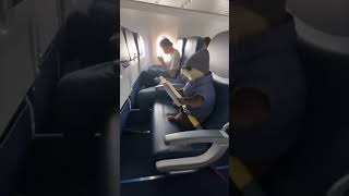 Can You Spot the Disguised Otter on This Plane?