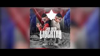 CUBA GRITA LIBERTAD 🇨🇺 - SKARLET , MILAN ( COVER VIDEO ) #soscuba