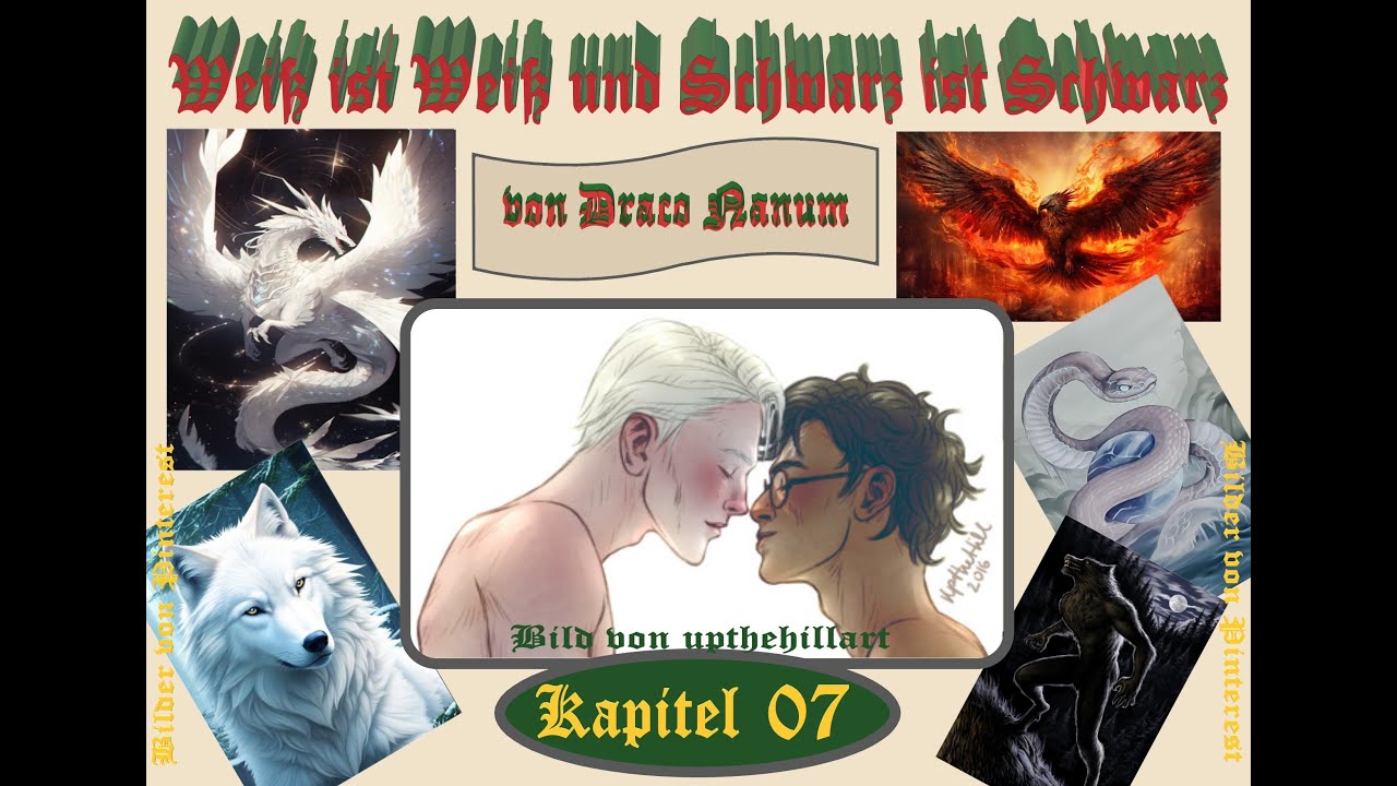 Harry Potter Fanfiction // Weiß ist Weiß und Schwarz ist Schwarz? 07 // Drarry