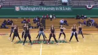 Wash U Dance Team - 2016 Formation