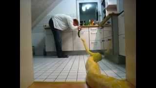 Helping In The Kitchen