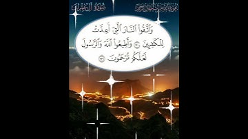 سورة آل عمران الآية ( 132 )