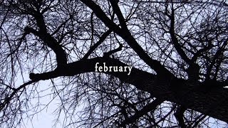 february: a month in my life february: a month in my life