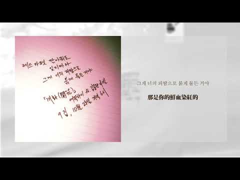 【韓繁中字】Epik High(에픽하이) - 開花(개화) (ft.NELL 金鐘萬)