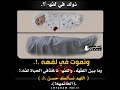 نولد في لفهه ونموت في لفه ومابين ألفه والفه ناخذ بالحياة لفهه