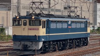 【4K高画質】なんとPF代走✨【EF65-2086 単機回送】国鉄EF65形2000番台2086号機が単機で鶴見駅を通過するシーン(5692レ・吹A258・コンテナ輸送) 2025.9.12