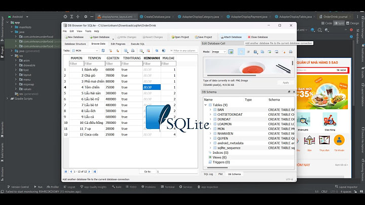 Hướng dẫn sử dụng sqlite database browser