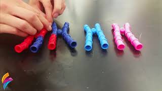 Minute Movies - Bob Wallace and the MyStemKits' Chromosomes Kit